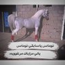 Фото профиля راع الاصيله