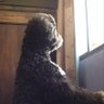 matty profil fotoğrafı
