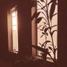 Фото профиля ahmad abdollah