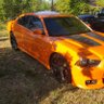 Фото профиля Hellcat_150