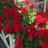 Фото профиля eljc