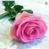 بدور's profile picture