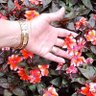 غفران شاكر جاسم profil fotoğrafı