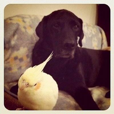 Mika Ishiwata's profile picture