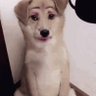 抖音号和这个不一样's profile picture