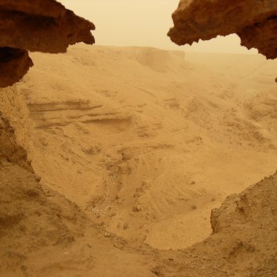 QalaatM's profile picture