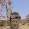 Фото профиля ぽっぽ88式