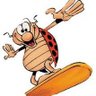 Coccinelle's profile picture