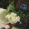 Tolga Koç profil fotoğrafı