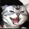 𝘕𝘈𝘙𝘐𝘛𝘈's profile picture