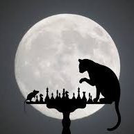 Lukyluke31's profile picture