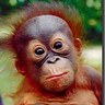 Profilbild von Odonvon