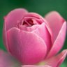 Фото профиля 3mool.16