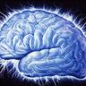 Profilbild von Charlie Sheens Brain