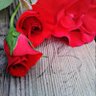 Büşra Uzunoğlu (Aktürkoğlu )'s profile picture