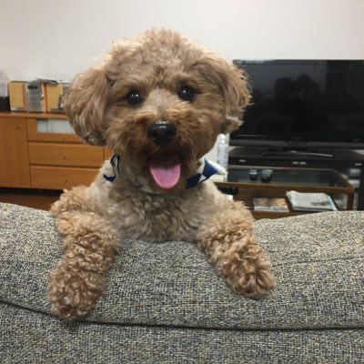 としII's profile picture
