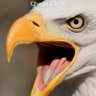charlie bongende's profile picture