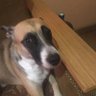 Екатерина Е's profile picture