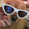xleightonツ profil fotoğrafı