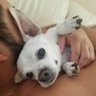 Skee Silorio profil fotoğrafı