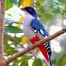Фото профиля Vicente cero2 o
