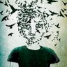 أحمد عبدالله's profile picture