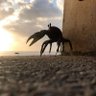 𝕵 profil fotoğrafı