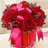 Фото профиля Rosa Vilchez