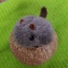 Profilbild von OakiDon