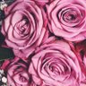 نعمة🌺 profil fotoğrafı
