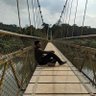 Фото профиля Shubham Gupta