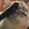 n/a profil fotoğrafı