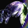 宇宙黑犬 的头像