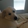 Karen's profile picture