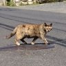 のり profil fotoğrafı