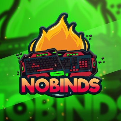 Nobindsfn's profile picture