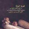 Profilbild von حمنــي 🪶