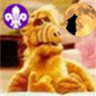 Alf JFG profil fotoğrafı