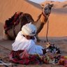Profilbild von ABU SA'AD