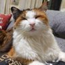 MtNvD profil fotoğrafı