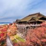 Фото профиля やまと