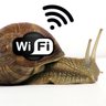 Фото профиля Arbys Wifi