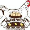 Lackie Dovo profil fotoğrafı