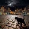 rockhurst profil fotoğrafı