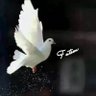 فاطمة النهدي🥀's profile picture
