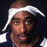 Brain Child's profile picture