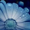 نايف profil fotoğrafı