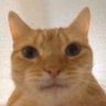 fenix s's profile picture