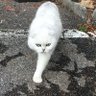 Duska's profile picture