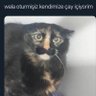 Lüksemburg Zazası profil fotoğrafı
